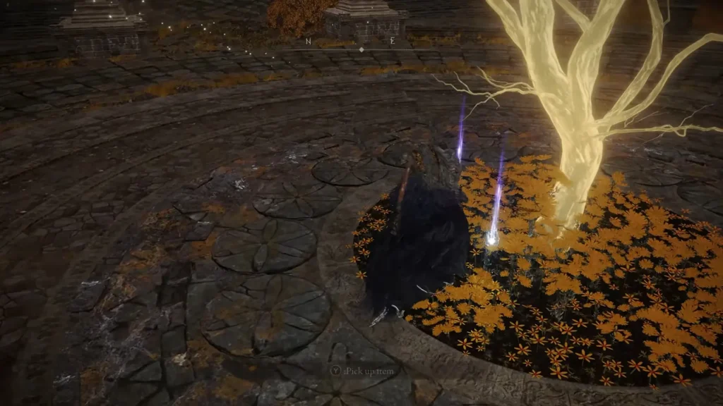 Outer Wall Phantom Tree Golden Seed