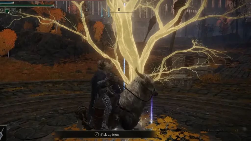 Outer Wall Phantom Tree – Kindred Area Golden Seeds