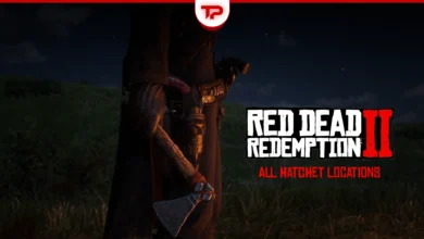 RDR2 Hatchet Locations Guide