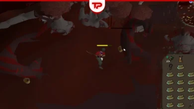 Seeker Arrows in OSRS