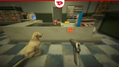 Shift at Midnight Missing Dog Can You Actually Find It