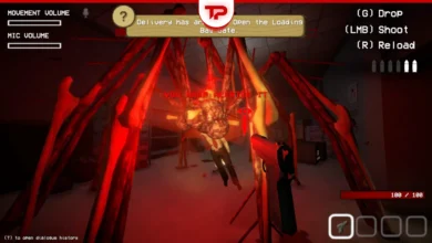 Shift at Midnight The Entity Guide