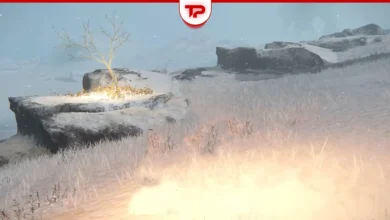 Elden Ring Consecrated Snowfield Golden Seed Locations