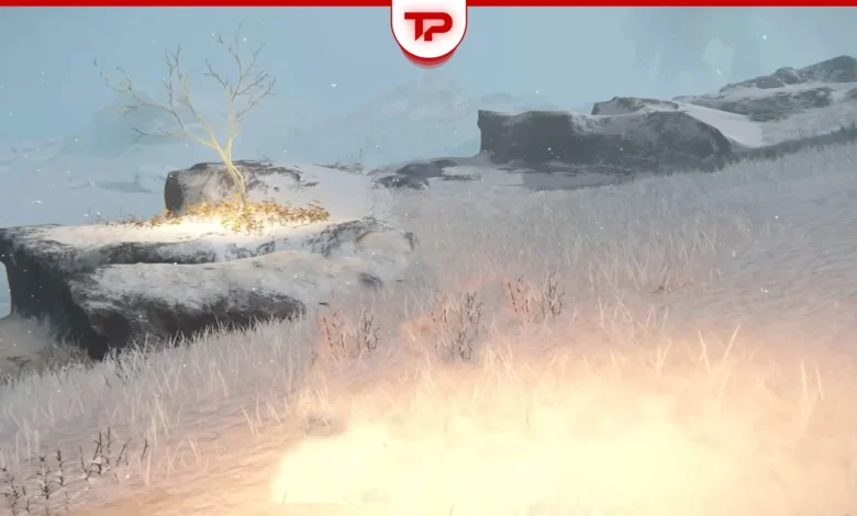 Elden Ring Consecrated Snowfield Golden Seed Locations